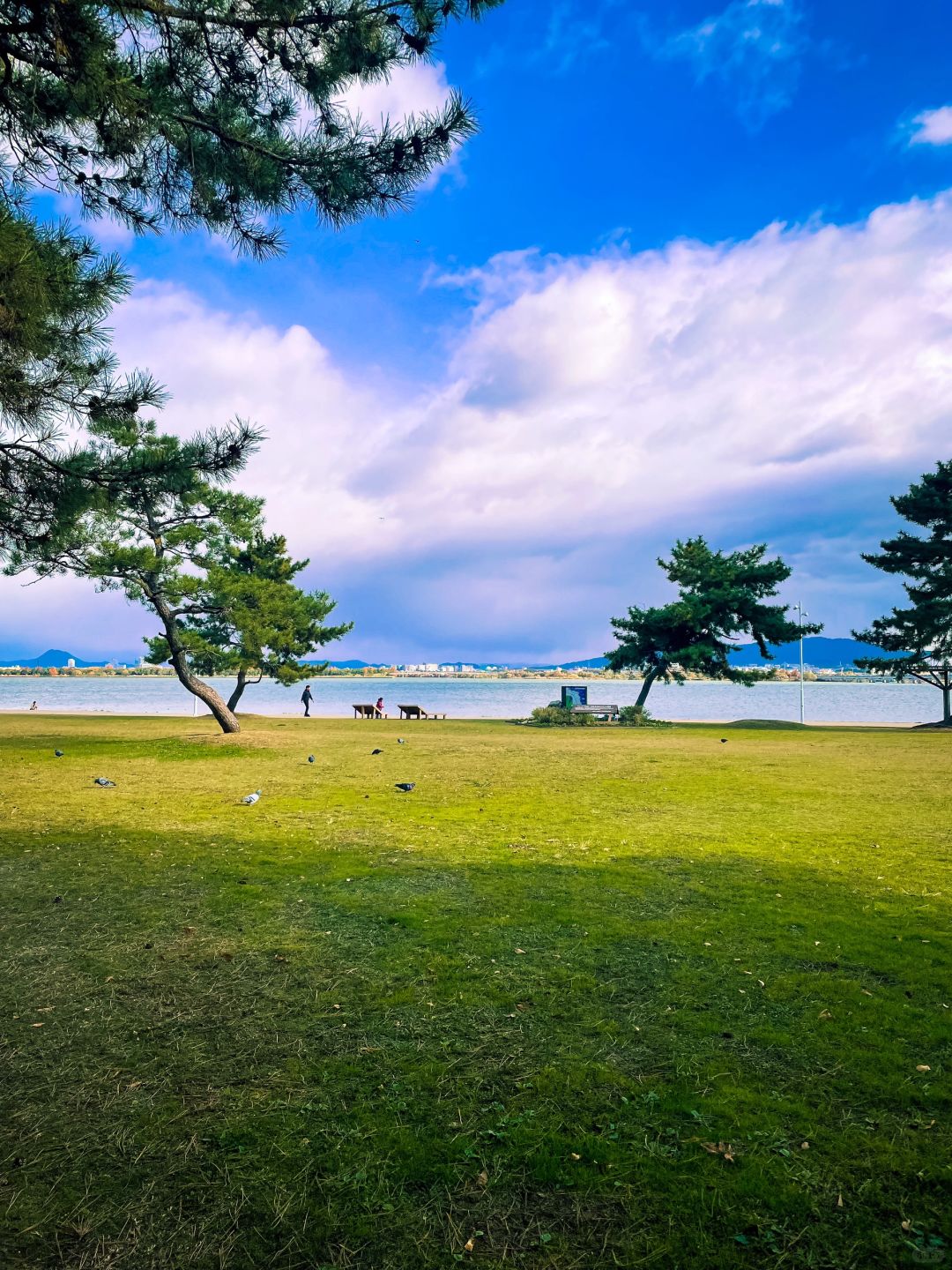 Osaka-Otsu Lake Case Nagisa Park,Lake Biwa in Kansai where you can soak up the sun