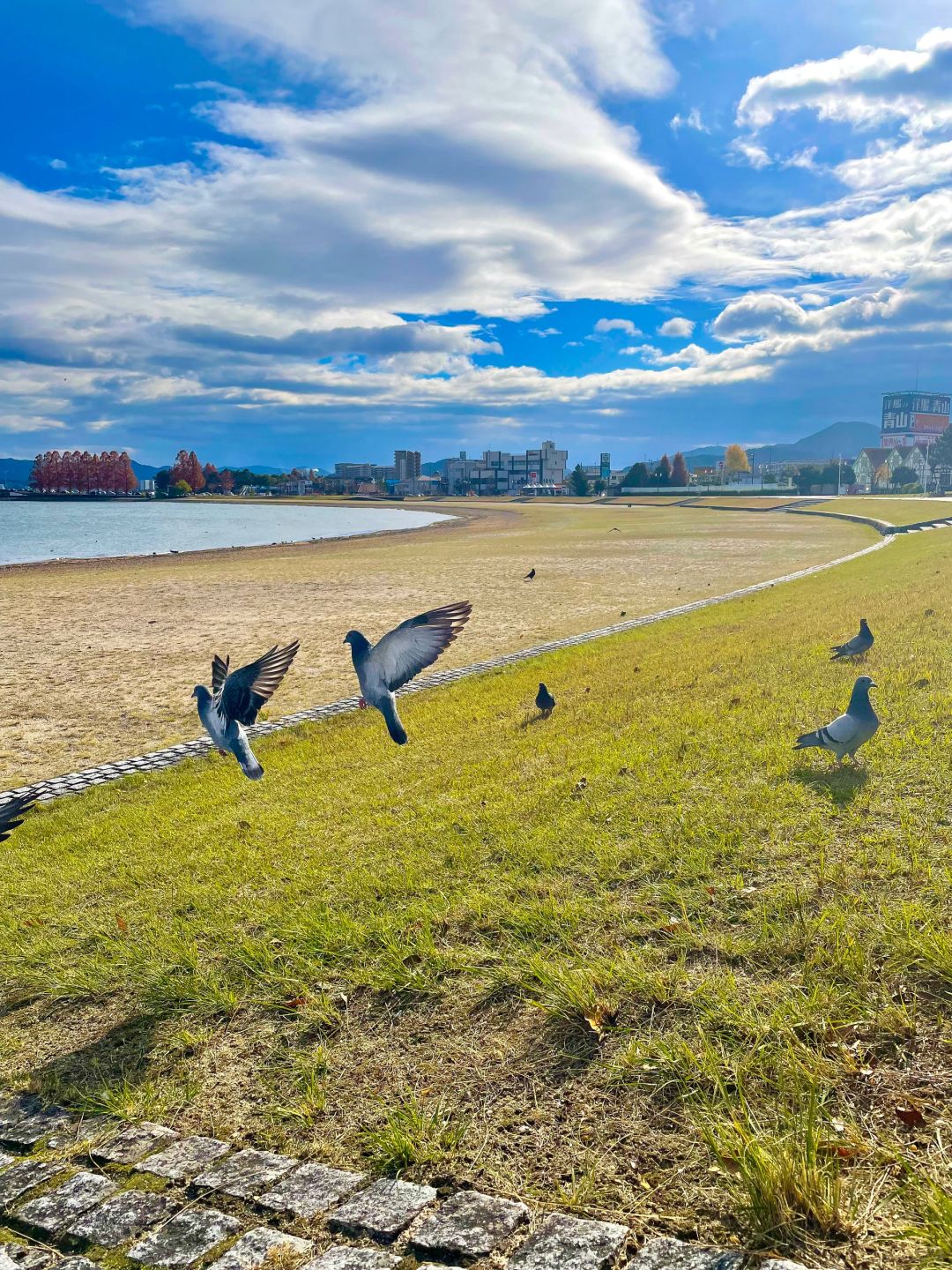 Osaka-Otsu Lake Case Nagisa Park,Lake Biwa in Kansai where you can soak up the sun