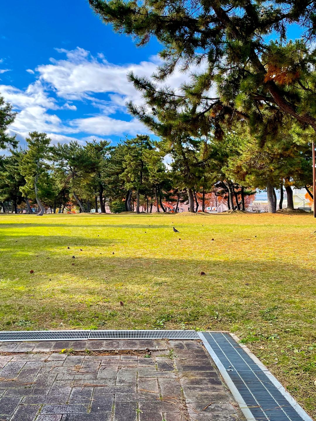 Osaka-Otsu Lake Case Nagisa Park,Lake Biwa in Kansai where you can soak up the sun