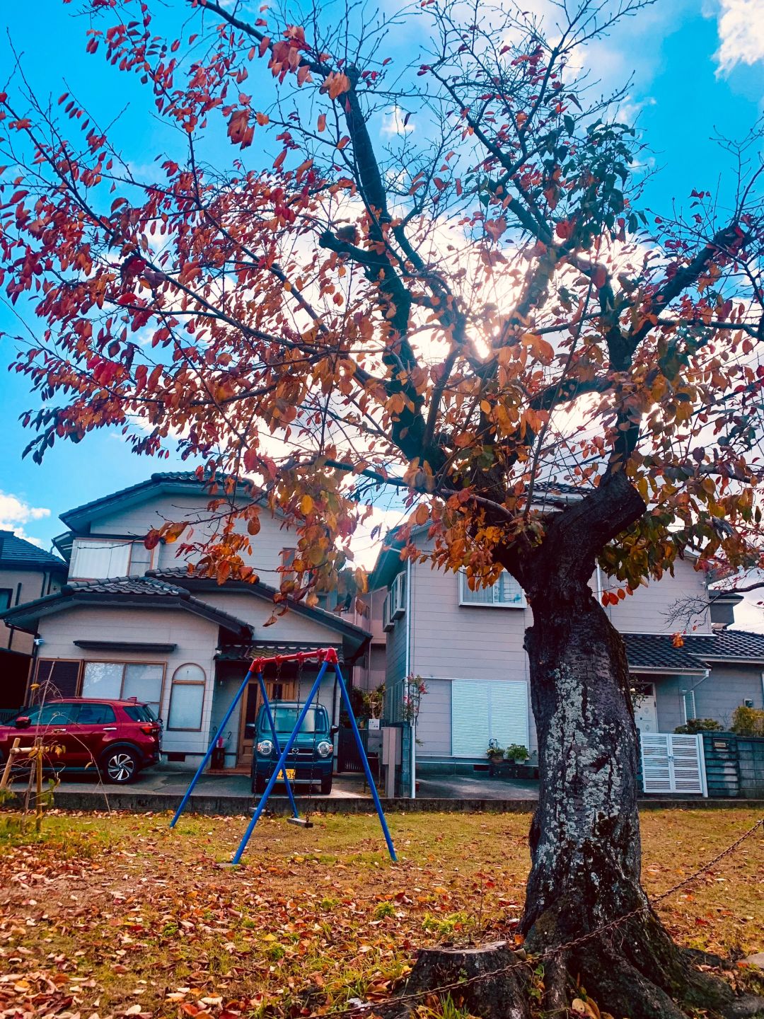 Osaka-Otsu Lake Case Nagisa Park,Lake Biwa in Kansai where you can soak up the sun