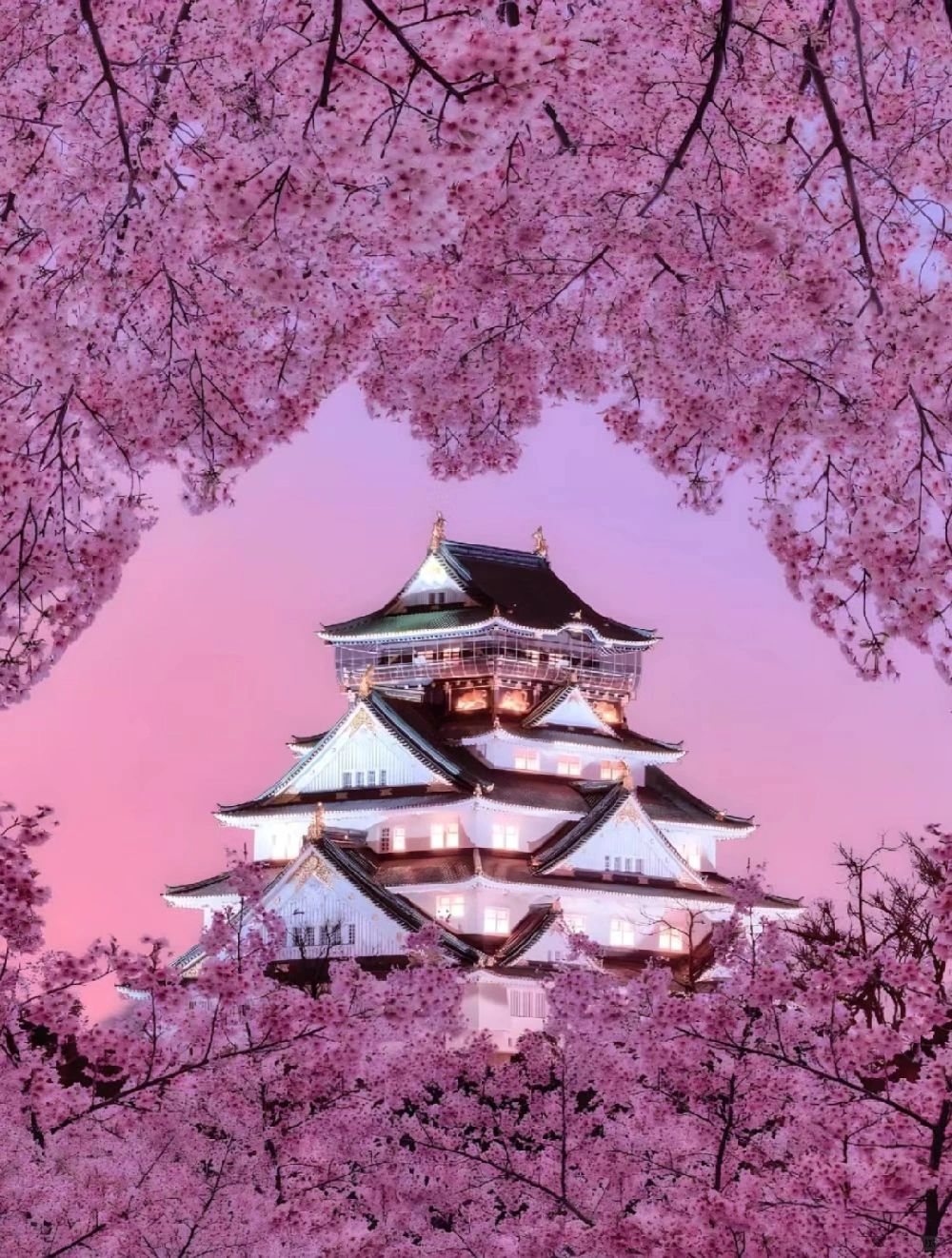 Osaka-Cherry Blossom Viewing points--Osaka Castle Park,Kiyomizudera Temple,Nara Park,Expo Commemorative Park