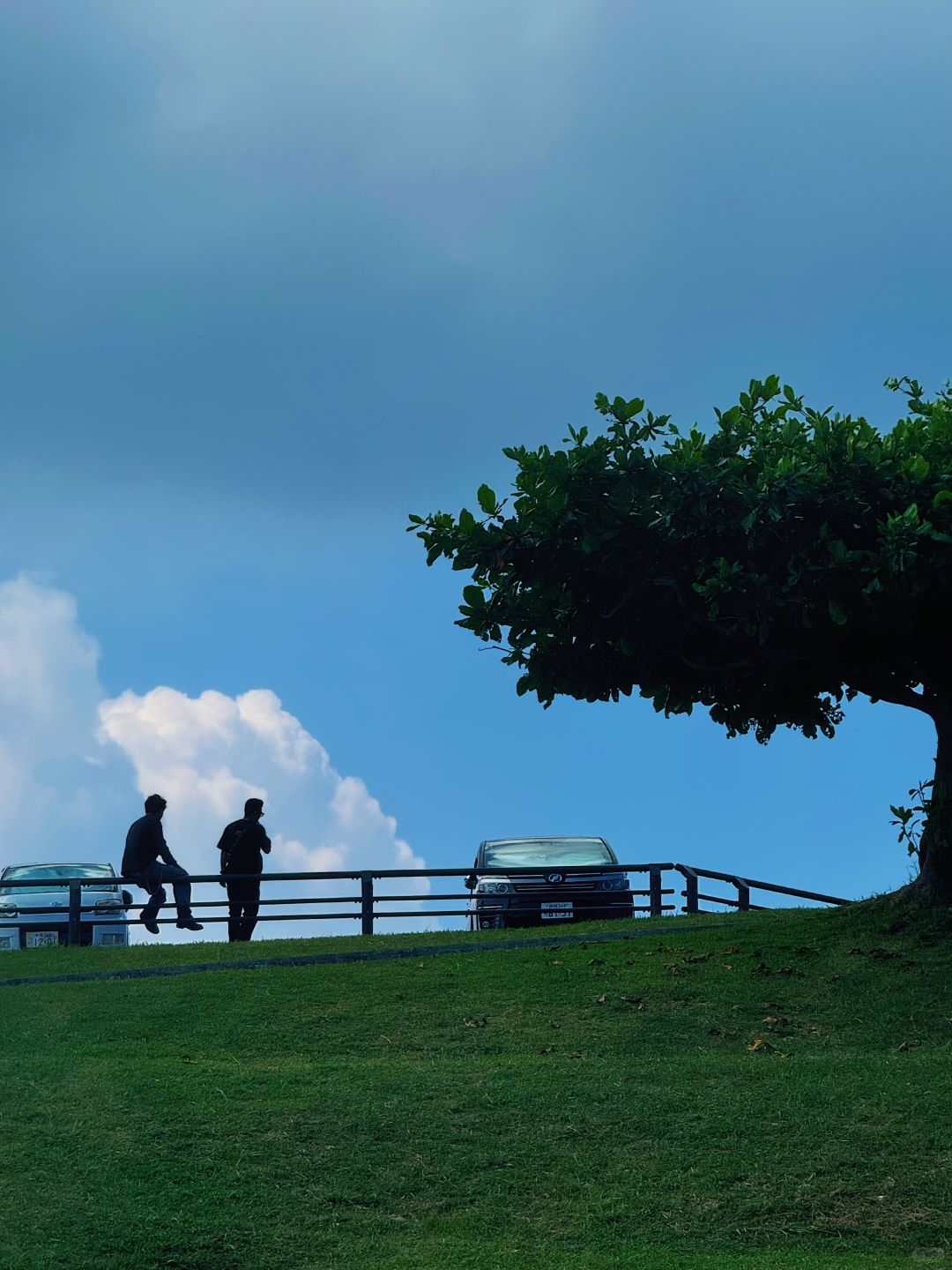 Okinawa-Go to Cape Chinen Park to see the amazing sea