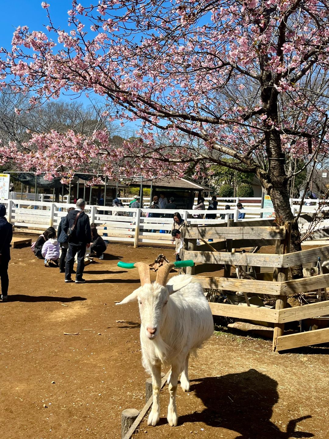 Tokyo-Chiba Funabashi Andersen Park--A Nordic-style park built with the theme of Andersen's fairy tales