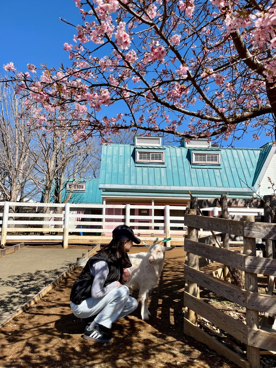 Tokyo-Chiba Funabashi Andersen Park--A Nordic-style park built with the theme of Andersen's fairy tales