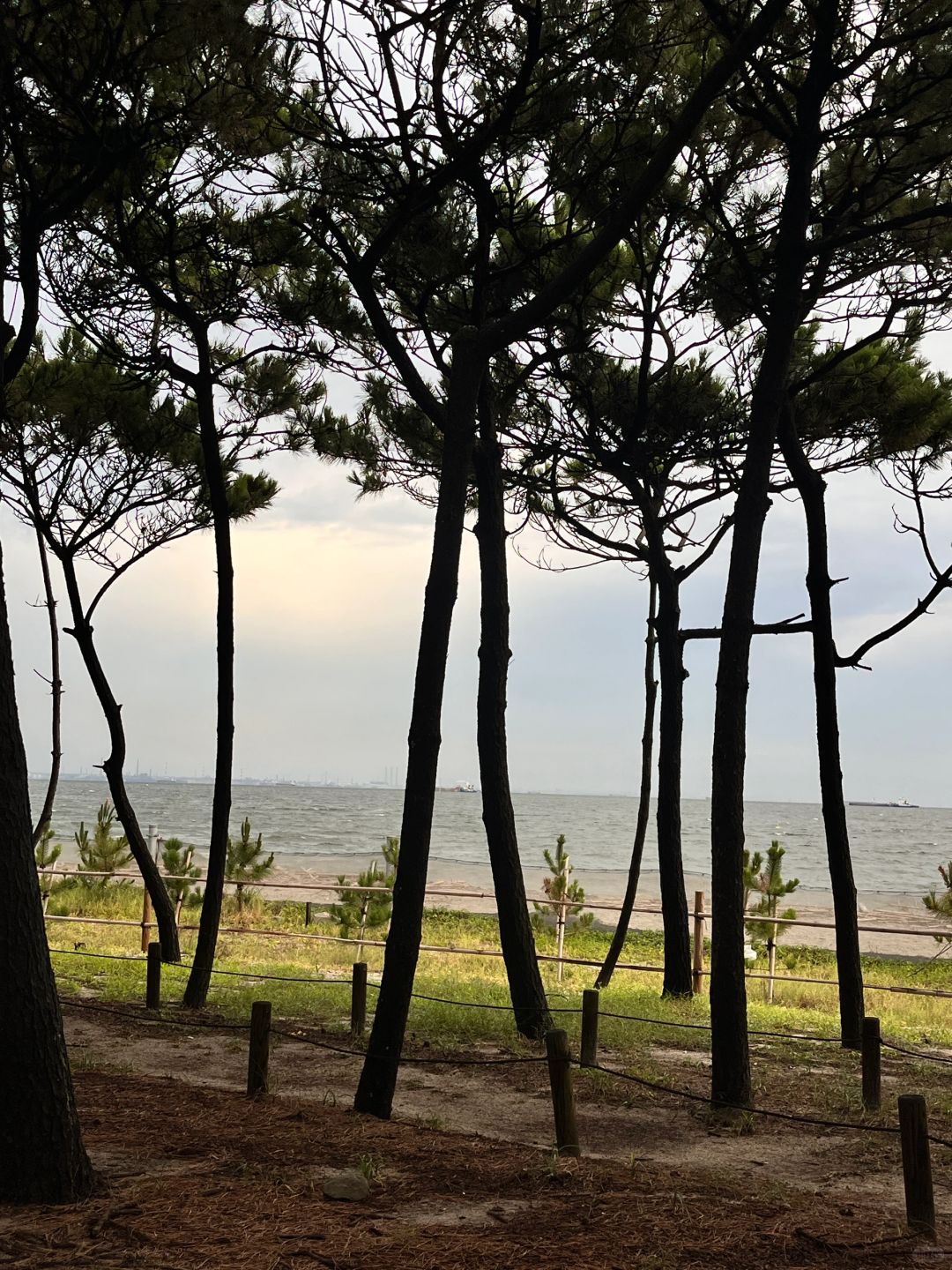 Tokyo-Chiba Inage Seaside Park，seeing the beautiful sunset