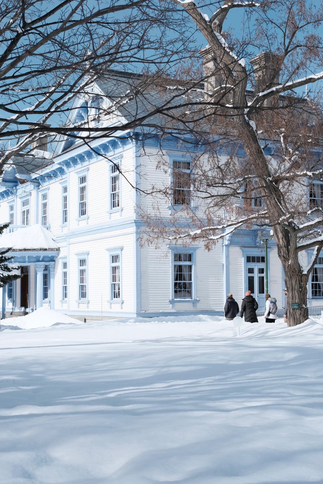 Sapporo/Hokkaido-Sapporo Nakajima Park: free skiing experience,great for taking pictures