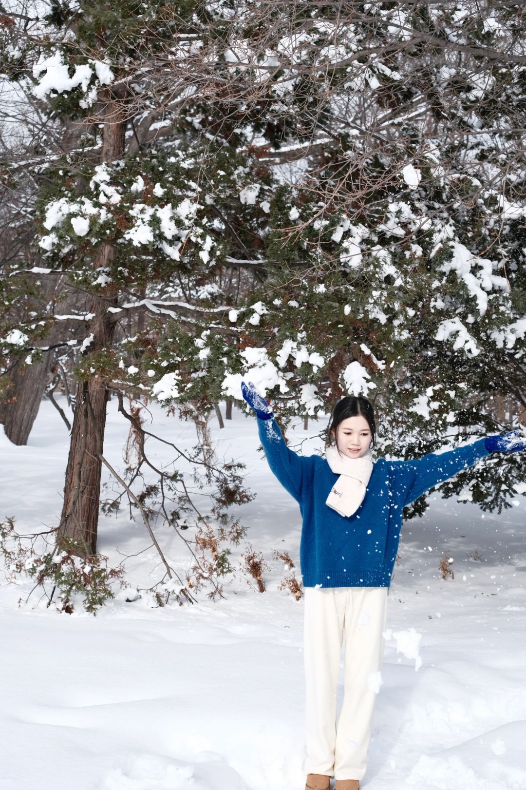 Sapporo/Hokkaido-Sapporo Nakajima Park: free skiing experience,great for taking pictures