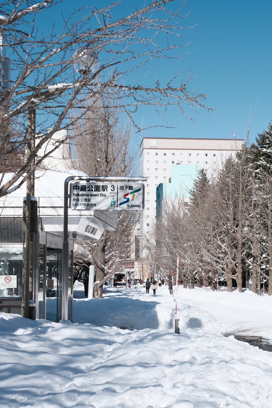 Sapporo/Hokkaido-Sapporo Nakajima Park: free skiing experience,great for taking pictures