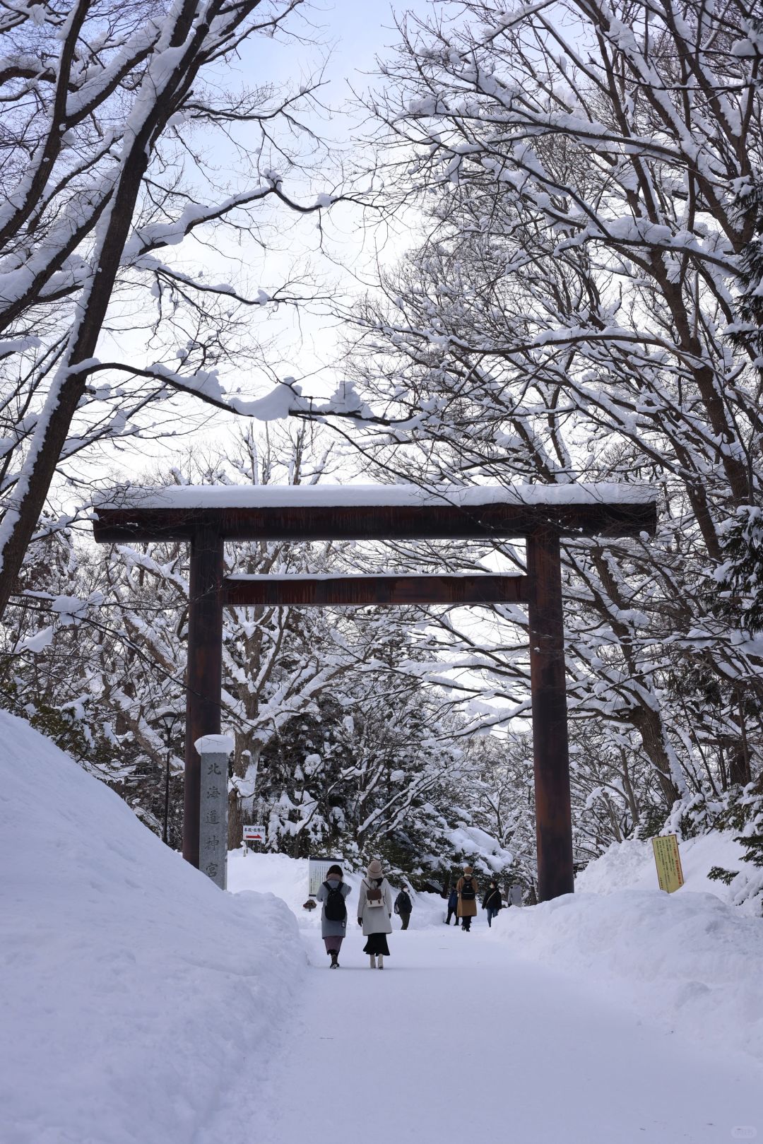 Sapporo/Hokkaido-Sapporo Urban Forest Hiking:Maruyama Park + Hokkaido Shrine + Maruyama Zoo.