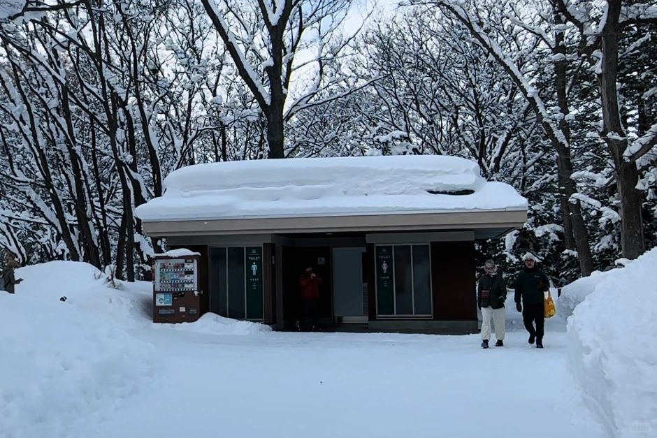 Sapporo/Hokkaido-Sapporo Urban Forest Hiking:Maruyama Park + Hokkaido Shrine + Maruyama Zoo.