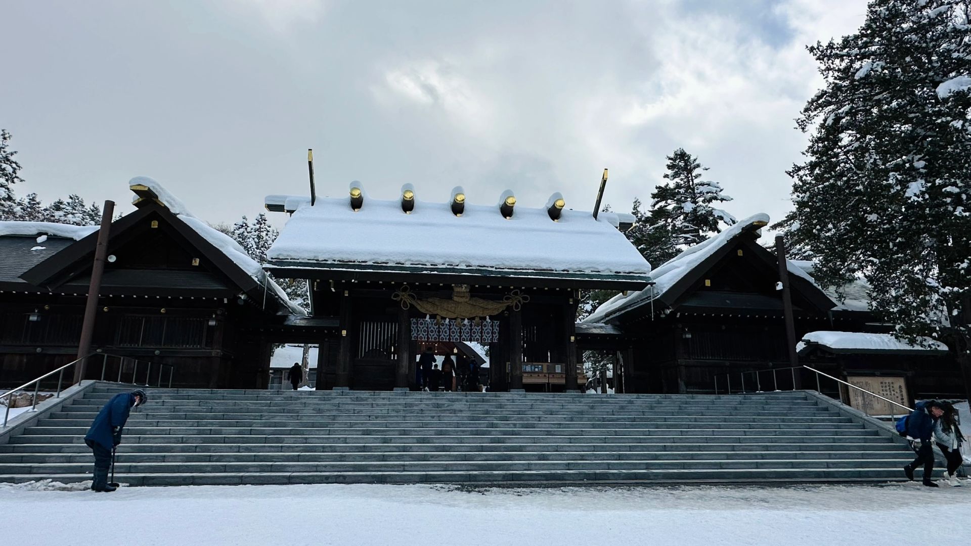 Sapporo/Hokkaido-Sapporo Urban Forest Hiking:Maruyama Park + Hokkaido Shrine + Maruyama Zoo.