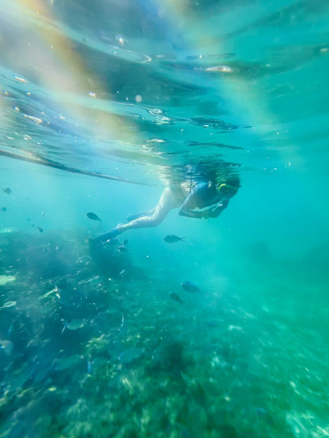 Okinawa-3-hour direct flight to the Glass Sea：Nagaru Island,Tokashiki Island and Zamami Island