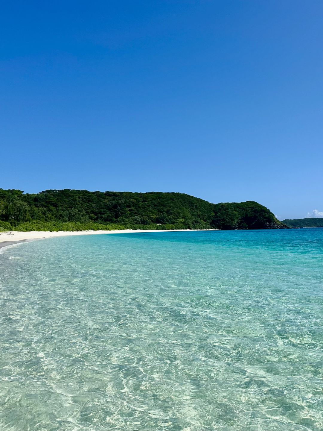 Okinawa-3-hour direct flight to the Glass Sea：Nagaru Island,Tokashiki Island and Zamami Island