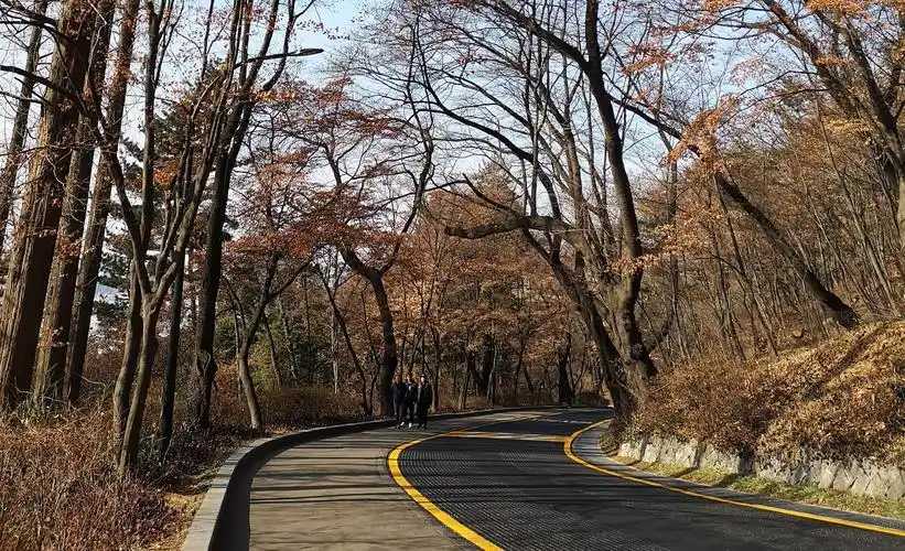 Seoul-Namsan Park in Seoul, where you can overlook the beautiful scenery of the surrounding area from the top of the mountain