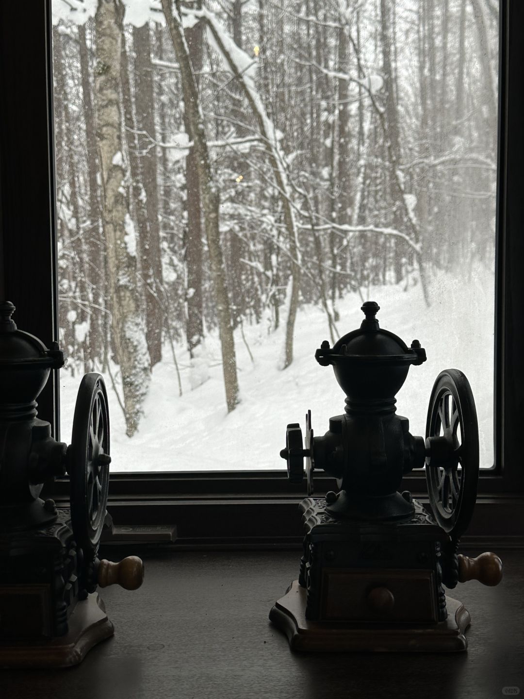 Sapporo/Hokkaido-Walk from  New Furano Prince Hotel to Forest Time,enjoy drinking a cup of coffee ground by yourself and the snow view