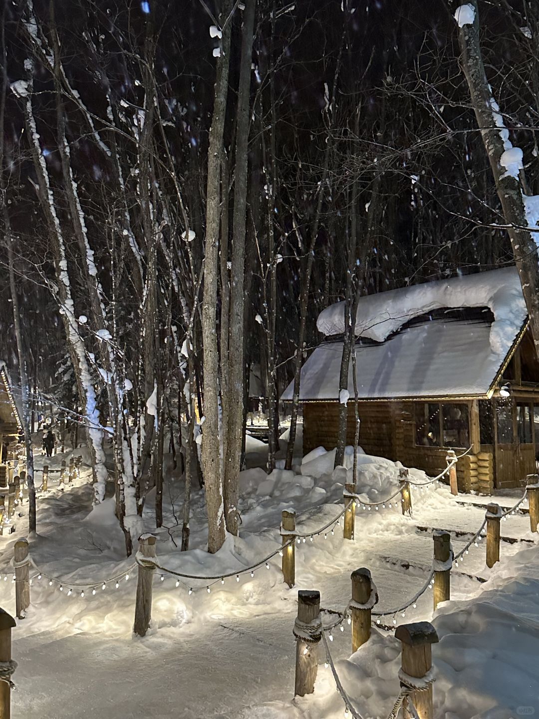 Sapporo/Hokkaido-Walk from  New Furano Prince Hotel to Forest Time,enjoy drinking a cup of coffee ground by yourself and the snow view