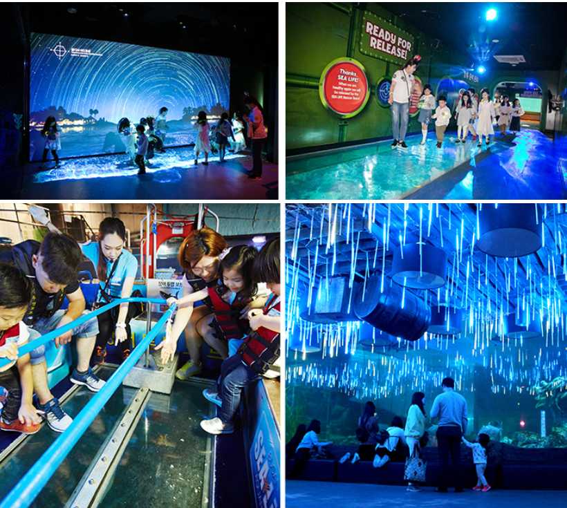 Busan/Jeju-SEA LIFE, Busan Aquarium in South Korea, brings endless excitement to children full of childlike innocence