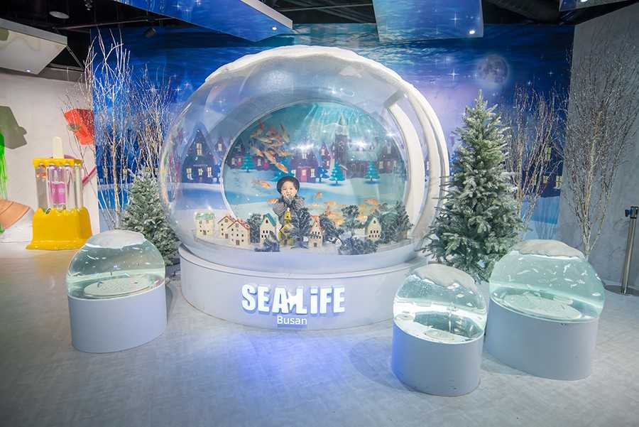 Busan/Jeju-SEA LIFE, Busan Aquarium in South Korea, brings endless excitement to children full of childlike innocence