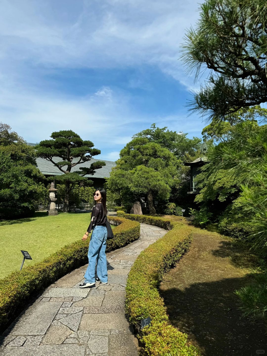 Tokyo-The most beautiful cafe in Tokyo-Nezu cafe! Fukinezu Museum Guide