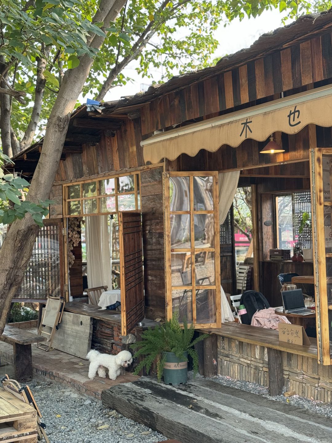 Changsha-9 must-visit cafes in Changsha! i's paradise (with route)!each one is very unique!