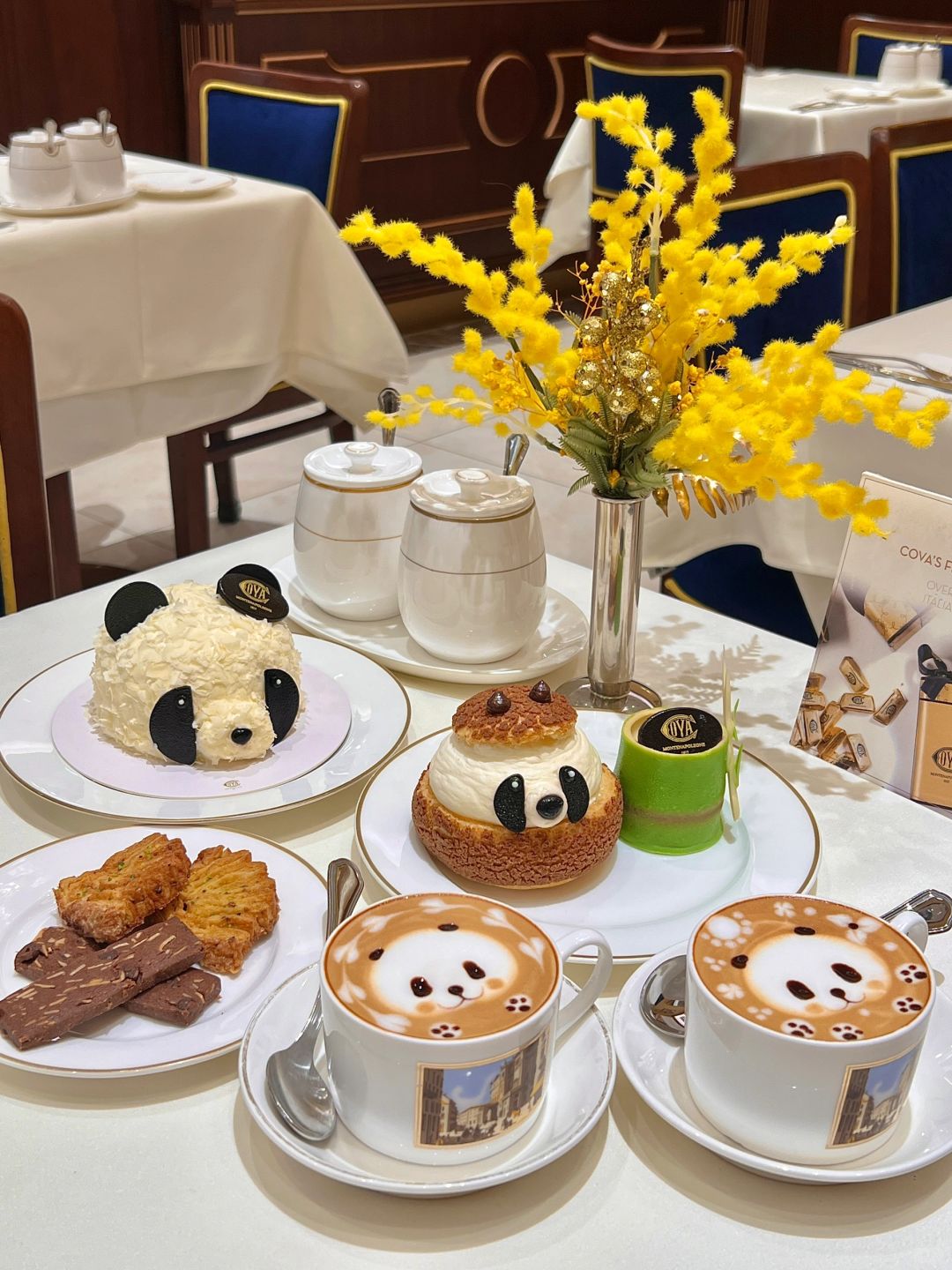 Sichuan-【Chengdu】ifs Panda🐼Coffee Shop☕Panda content exceeds the standard 