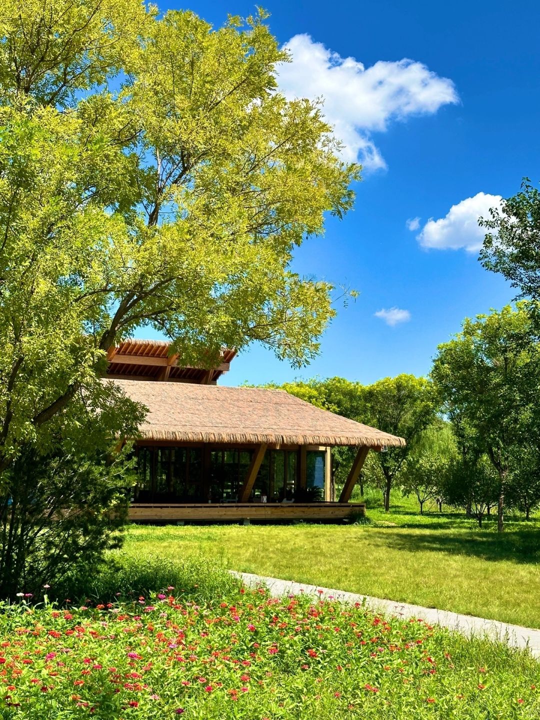 Beijing/Tianjin-Beijing CityWalk｜🌳Who can resist the coffee and bookstore in the for