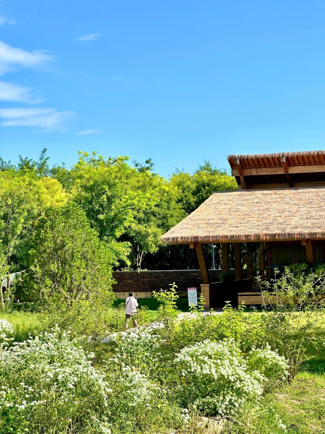 Beijing/Tianjin-Beijing CityWalk｜🌳Who can resist the coffee and bookstore in the for