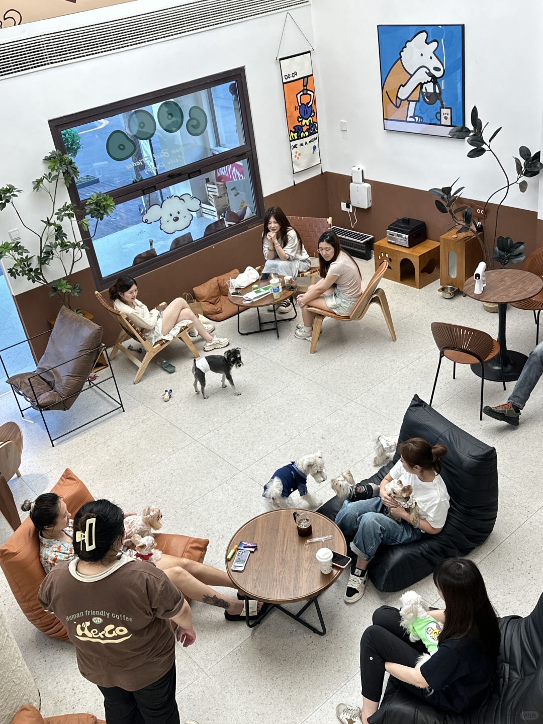 Beijing/Tianjin-New store in Beijing｜600㎡Puppy Coffee, cute and healing🐶