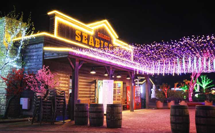 Busan/Jeju-Busan Illumination Theme Park, the largest light theme park in Korea, with a variety of performances