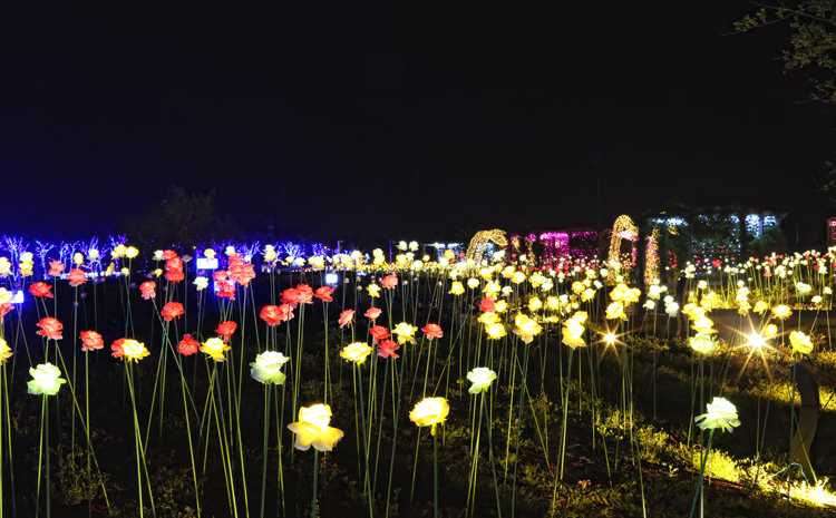 Busan/Jeju-Busan Illumination Theme Park, the largest light theme park in Korea, with a variety of performances