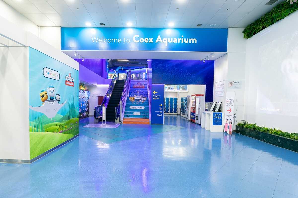 Seoul-Seoul COEX Aquarium, tens of thousands of marine creatures for visitors to enjoy