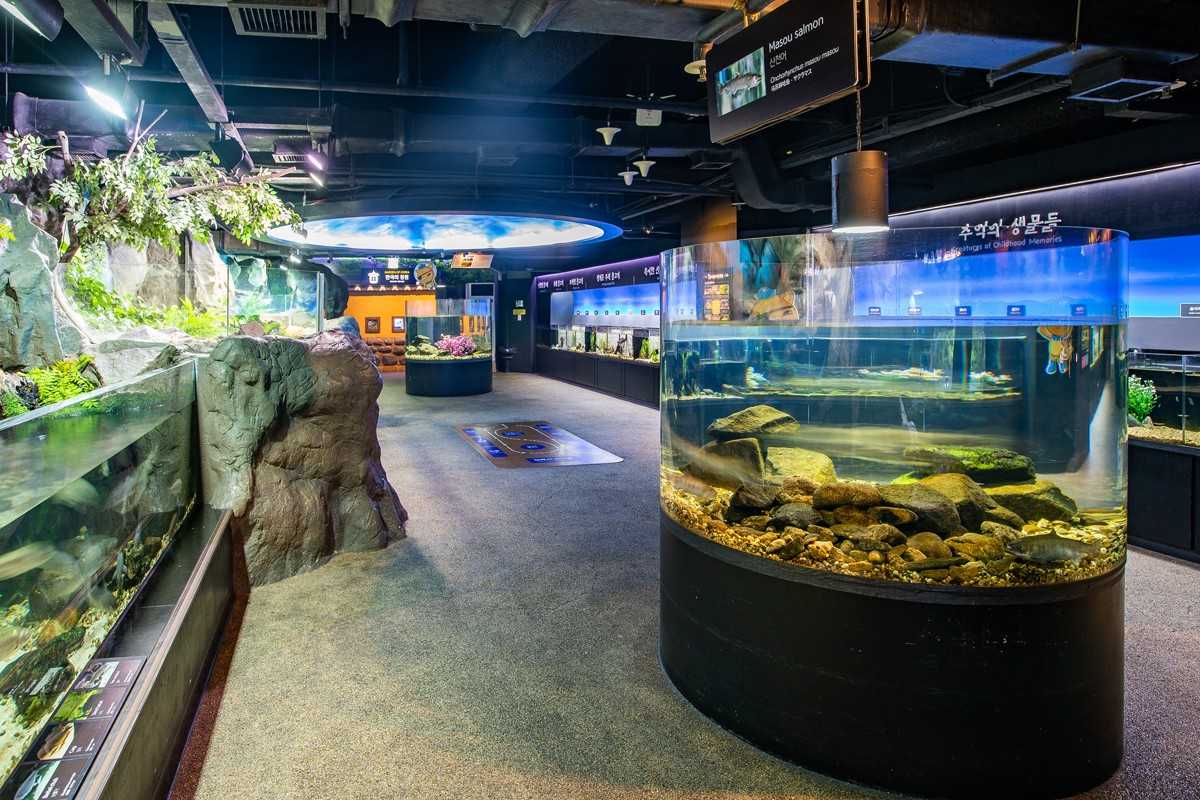 Seoul-Seoul COEX Aquarium, tens of thousands of marine creatures for visitors to enjoy