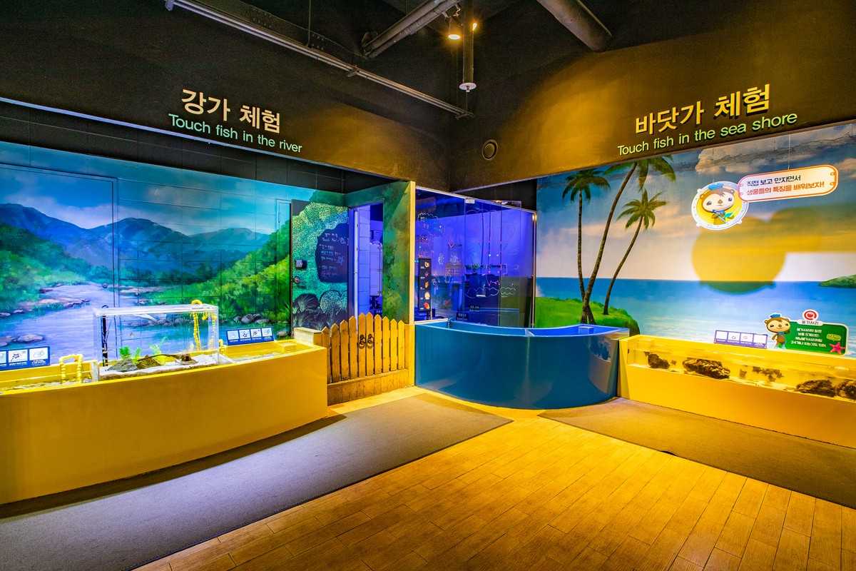 Seoul-Seoul COEX Aquarium, tens of thousands of marine creatures for visitors to enjoy