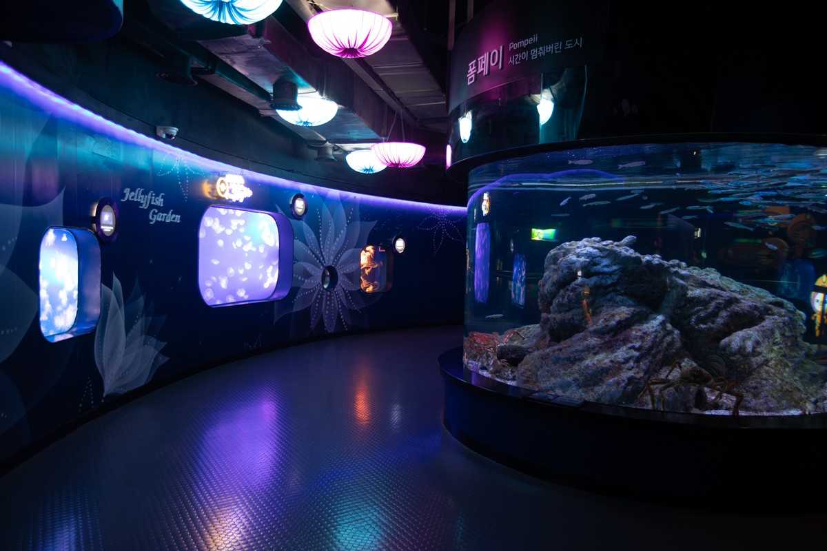 Seoul-Seoul COEX Aquarium, tens of thousands of marine creatures for visitors to enjoy