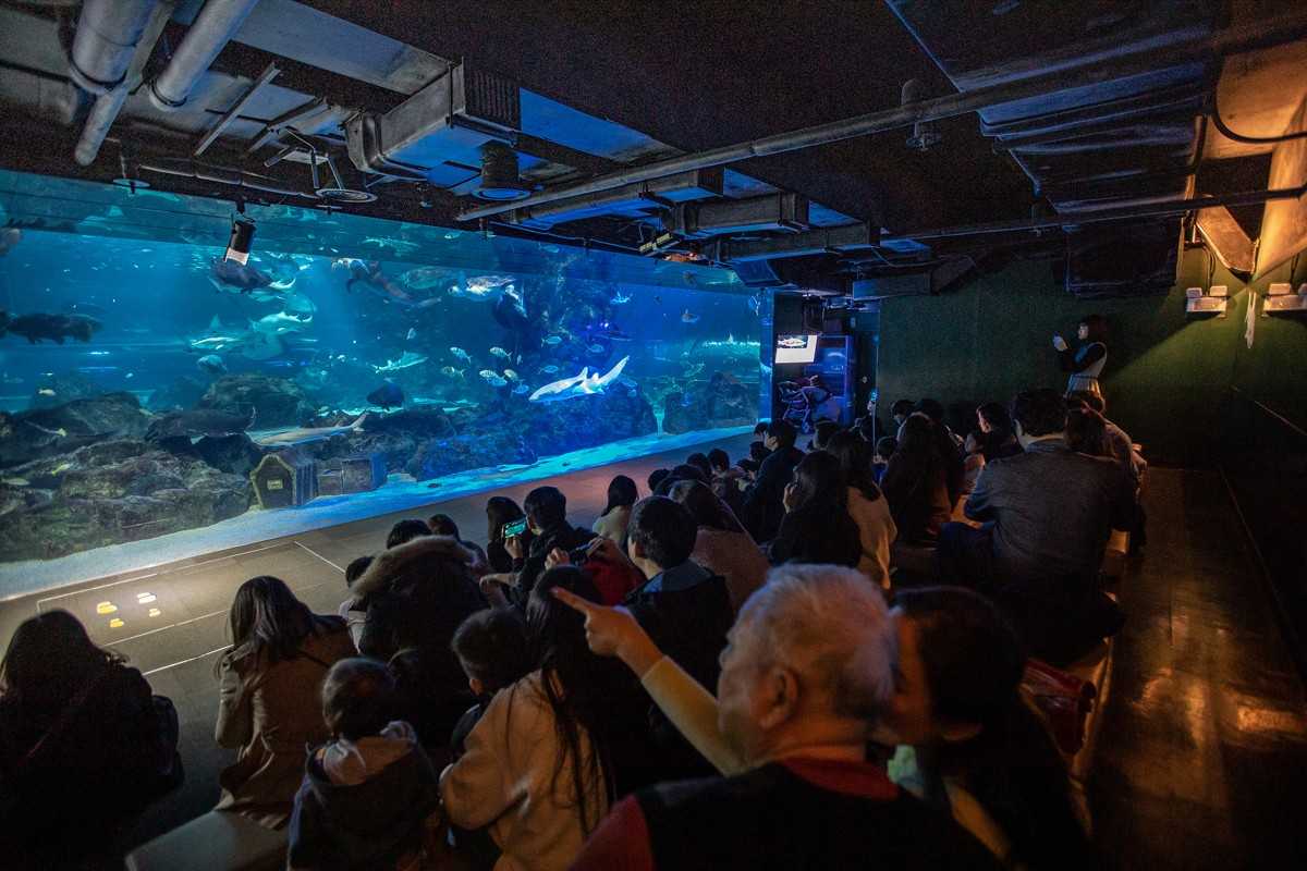 Seoul-Seoul COEX Aquarium, tens of thousands of marine creatures for visitors to enjoy