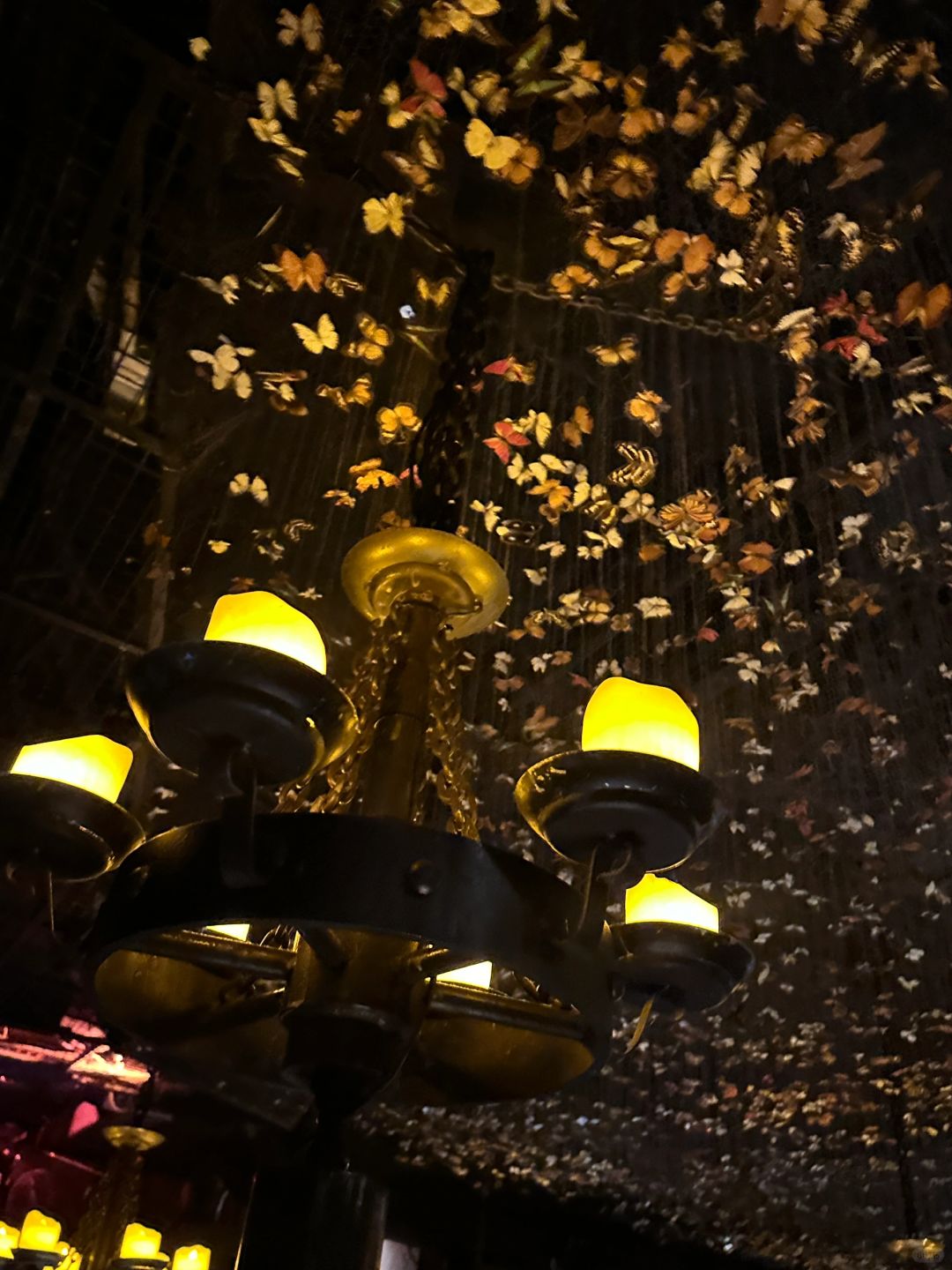 Hong kong-The Iron Fairies Bar in Hong Kong, 🦋many butterflies and wishing bottles, dancing unconsciously