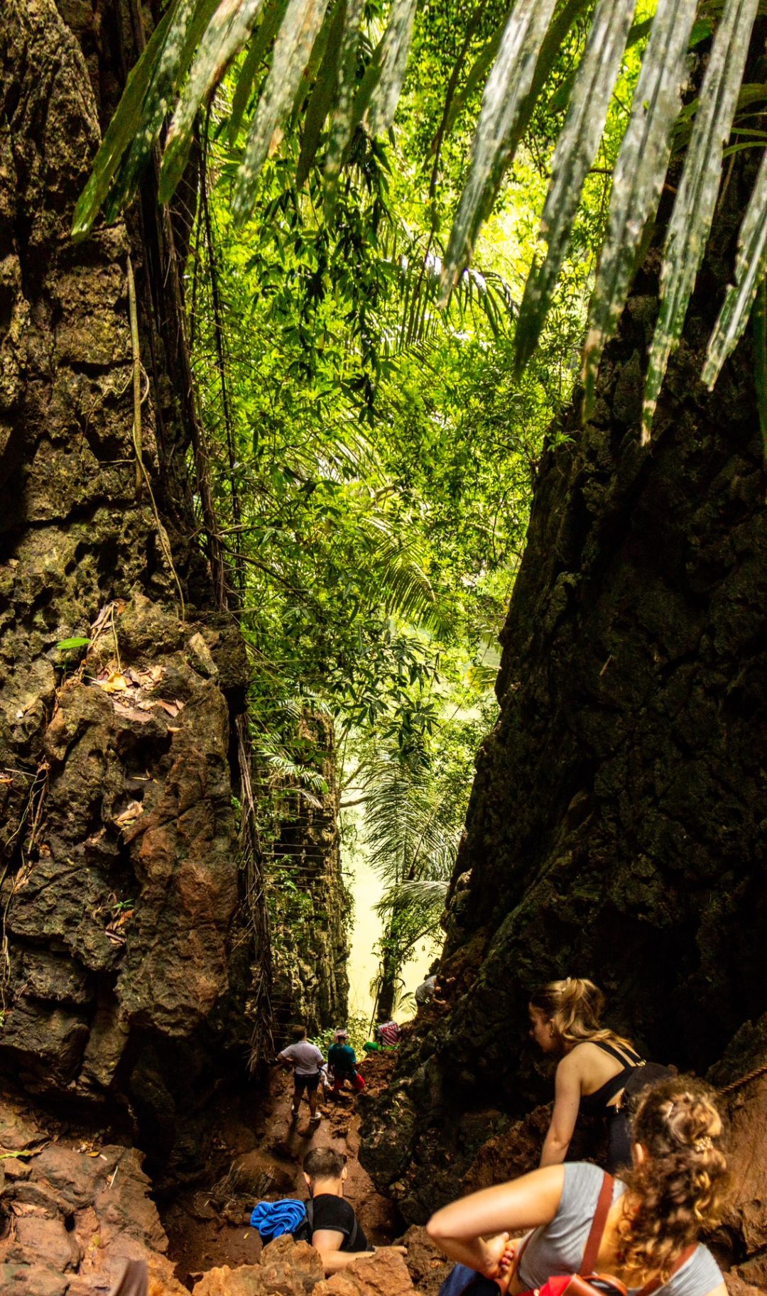 Krabi-Lagoon Trail at Railay Beach, Krabi, Thailand, tropical rainforest with red land