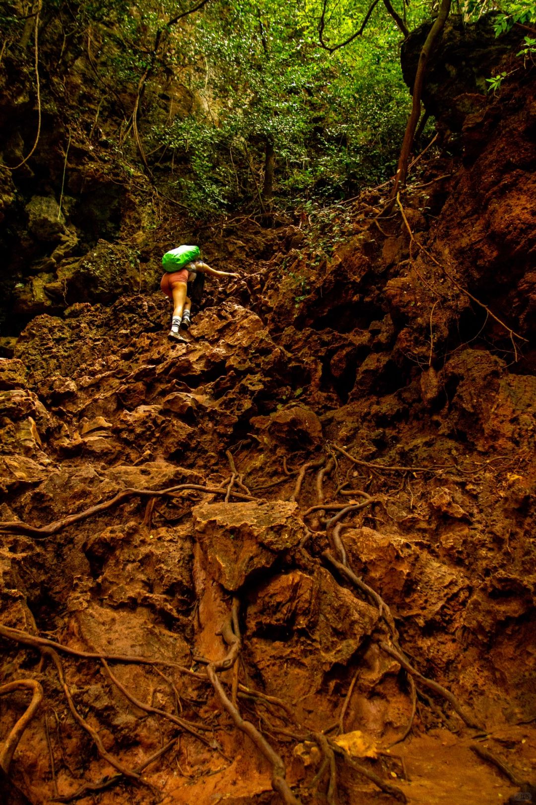 Krabi-Lagoon Trail at Railay Beach, Krabi, Thailand, tropical rainforest with red land