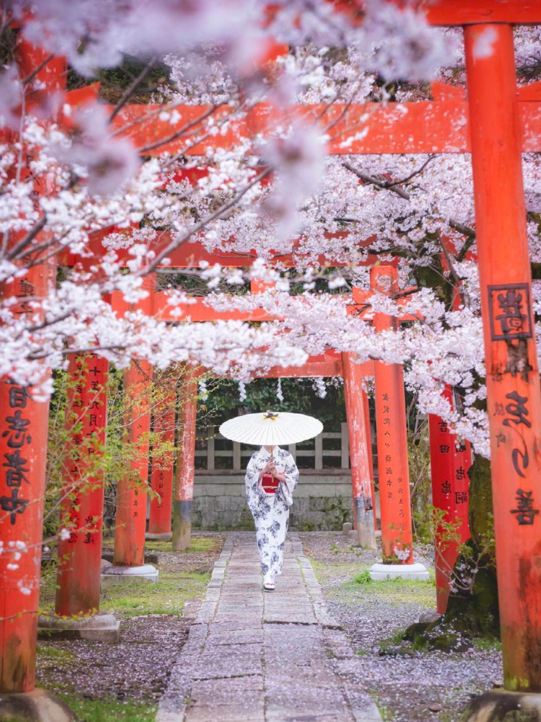 Osaka-The last 6️⃣ seats for cherry blossom viewing in Kansai are less cro