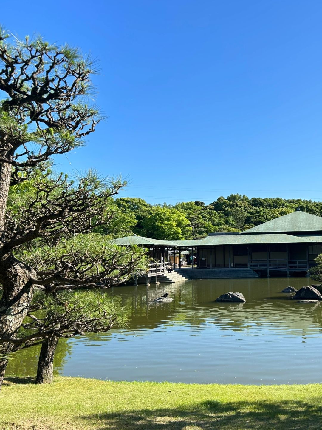 Osaka-🇯🇵Sakai City, Kansai | Japanese gardens with almost no tourists