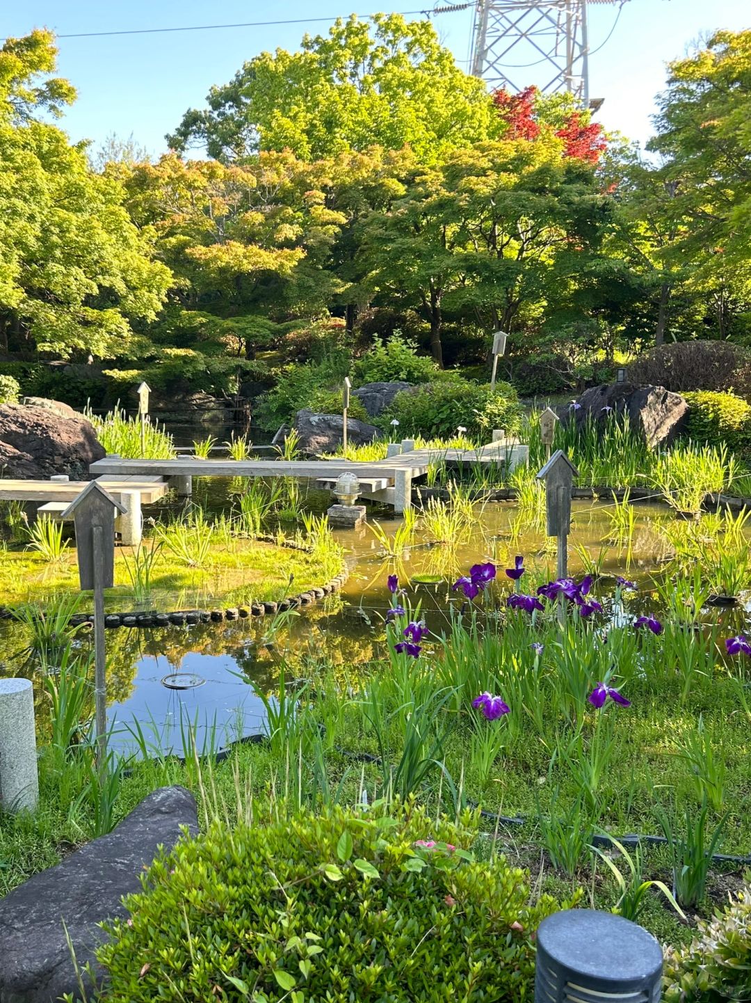 Osaka-🇯🇵Sakai City, Kansai | Japanese gardens with almost no tourists