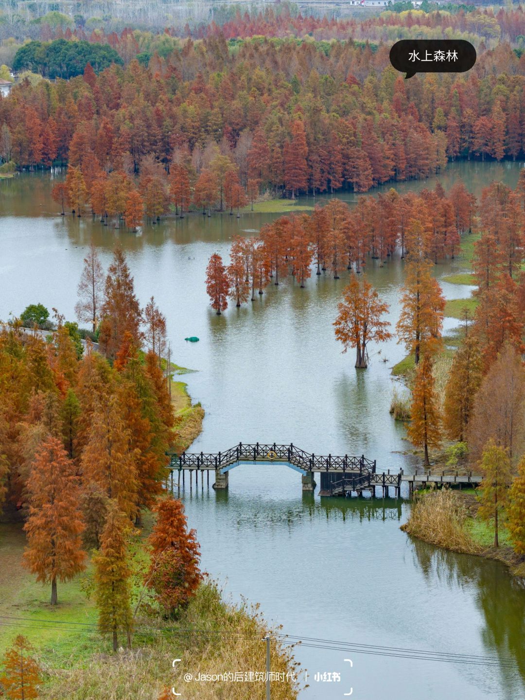 Jiangsu/Zhejiang/Shanghai-Refuse to step into the trap‼ ️Shanghai Qingxi Country Park Travel G