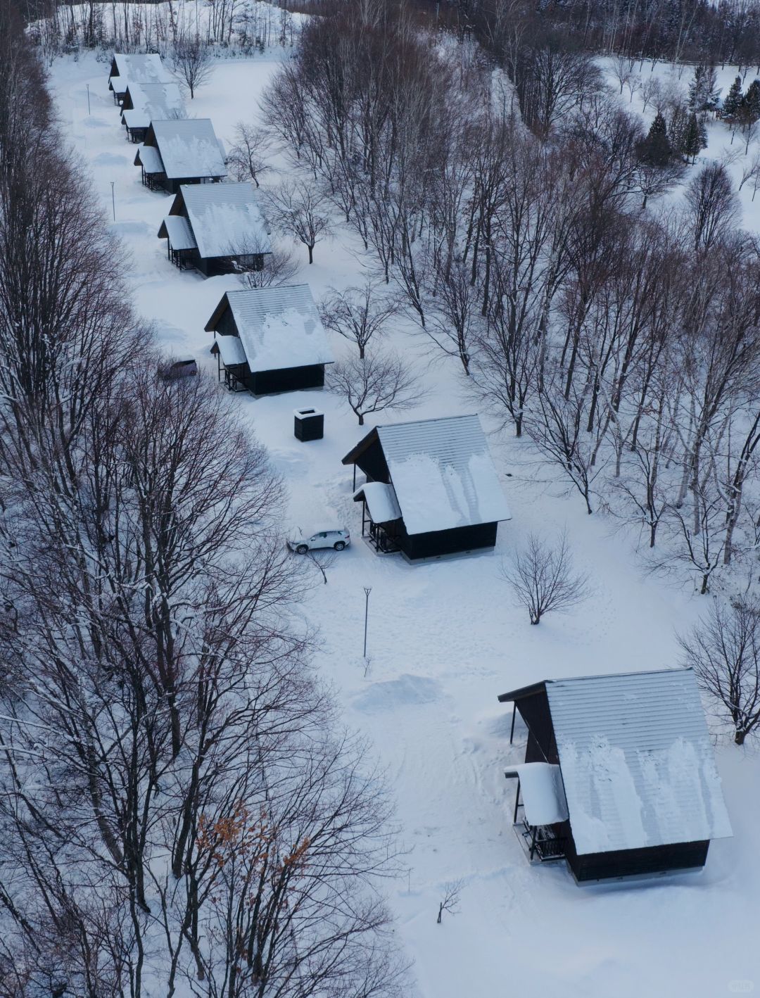 Sapporo/Hokkaido-Asahikawa, Hokkaido | A cost-effective wooden house for life🏡