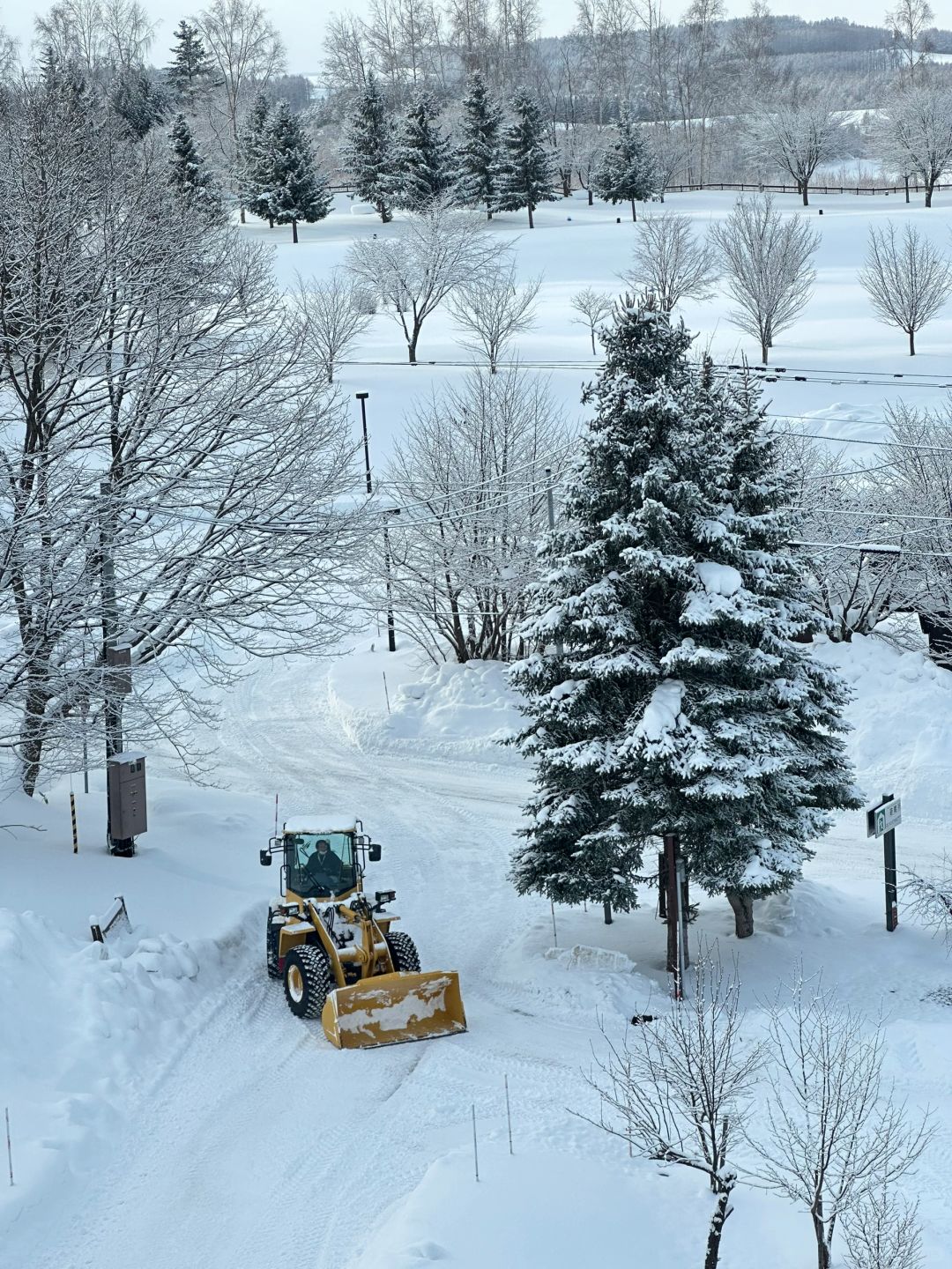 Sapporo/Hokkaido-❄️The first stop to miss Hokkaido: Asahikawa