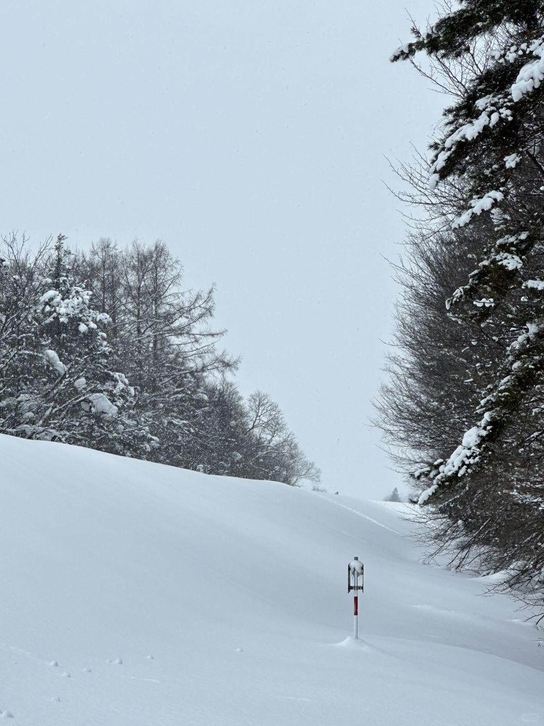 Sapporo/Hokkaido-❄️The first stop to miss Hokkaido: Asahikawa