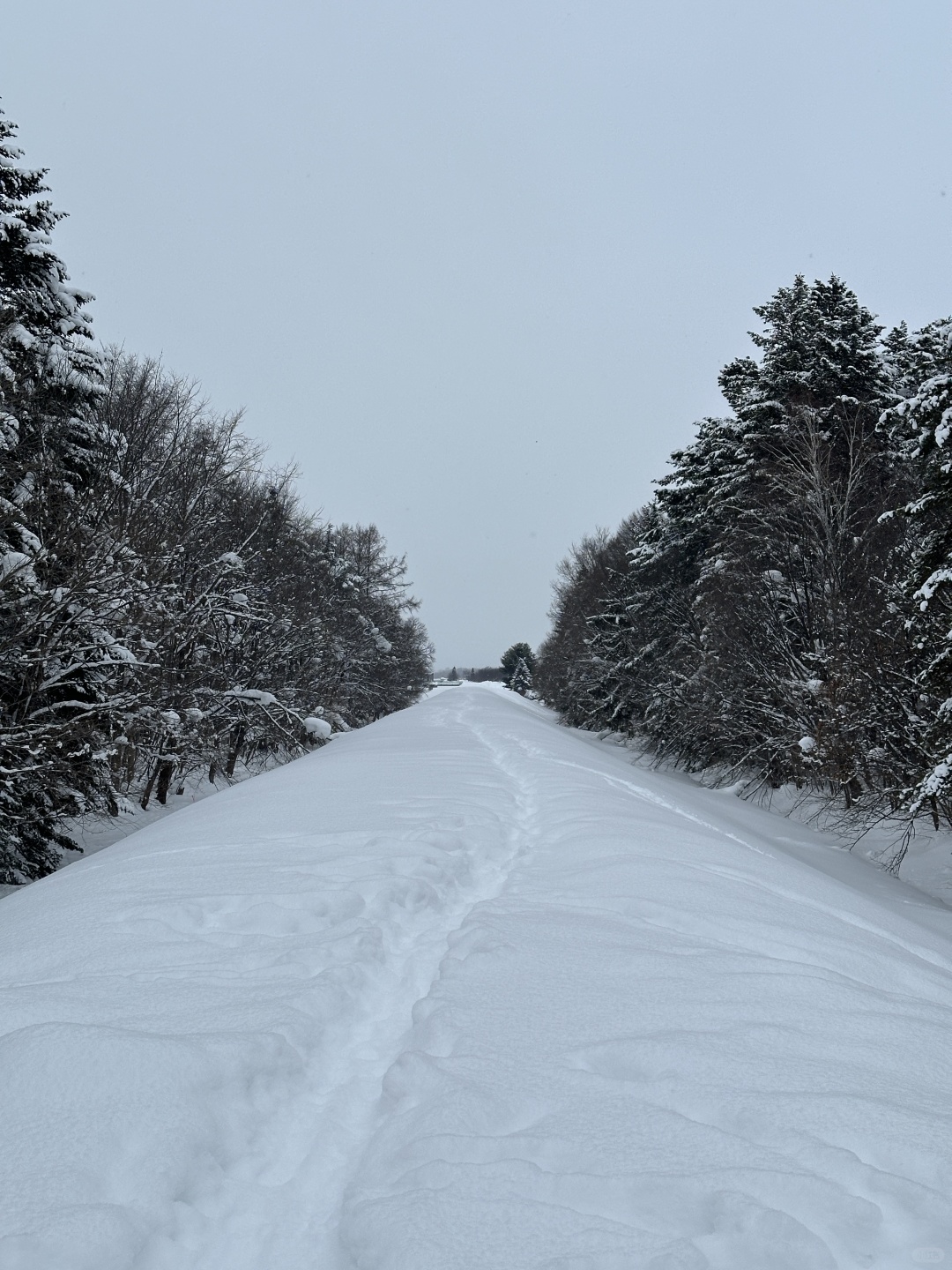 Sapporo/Hokkaido-❄️The first stop to miss Hokkaido: Asahikawa