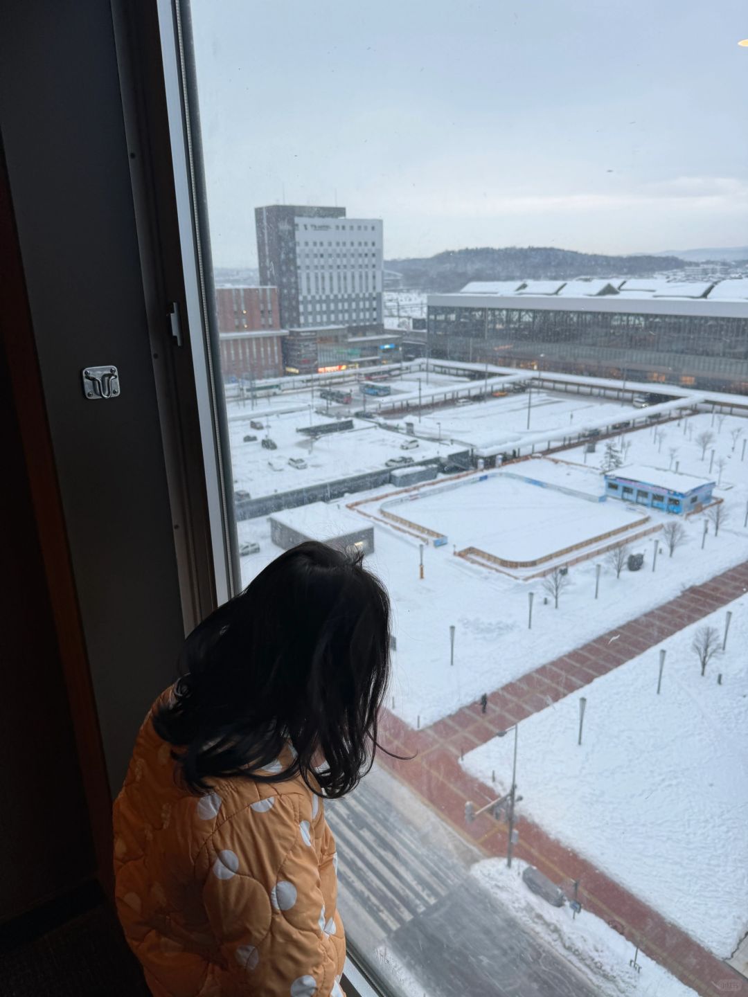 Sapporo/Hokkaido-Cost-effective hotel in Asahikawa, Hokkaido