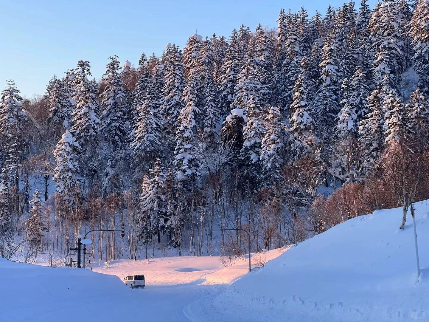 Sapporo/Hokkaido-Asahikawa’s niche super-beautiful guide that doesn’t make any mistak