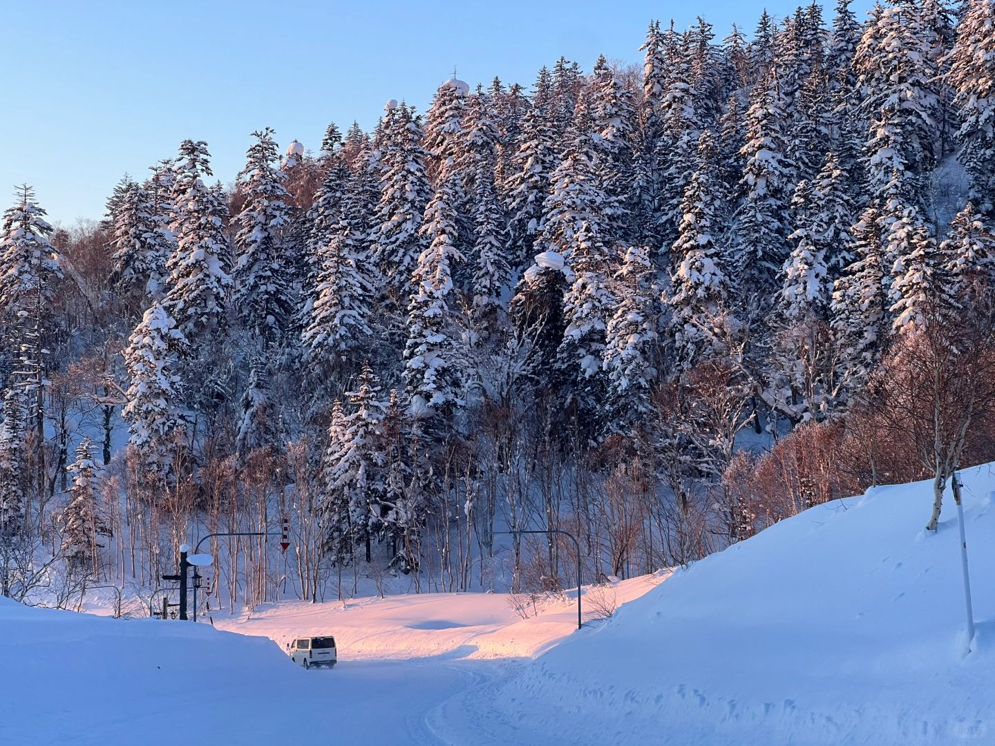 Sapporo/Hokkaido-Asahikawa’s niche super-beautiful guide that doesn’t make any mistak