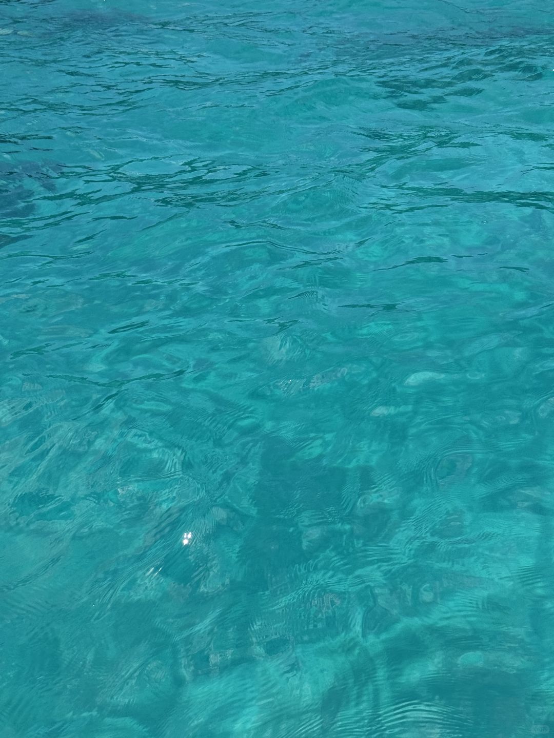 Okinawa-The sea in Nagaru Island has its own filter🏝️Clean and clear jelly s